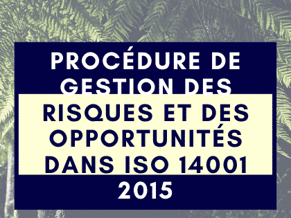 Procédure de gestion des risques et des opportunités dans ISO 14001 2015